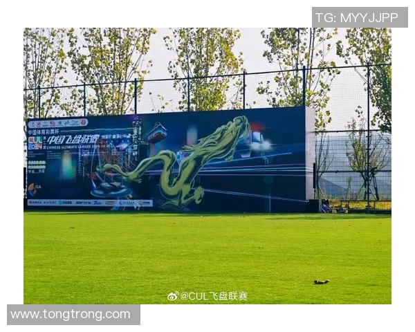 飞盘运动新风潮杭州飞盘队运营模式全解析与发展展望