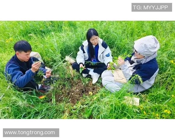 飞盘团队协作实力榜单权威发布揭示顶尖团队实力与潜力